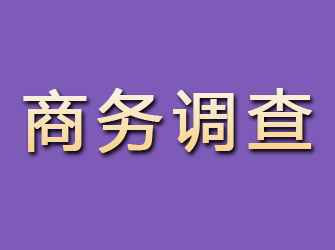 山阴商务调查